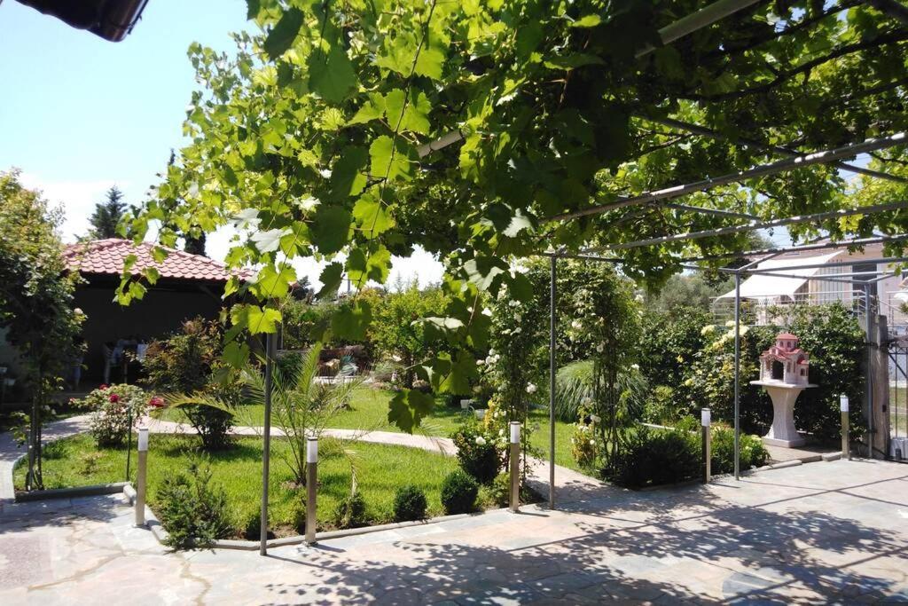 Viktoria Halkidiki Villa Nea Silata