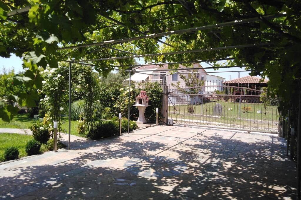 Viktoria Halkidiki Villa *