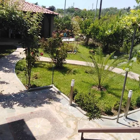 Nea Silata Villa Viktoria Halkidiki מראה חיצוני תמונה