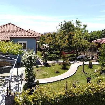 Nea Silata Villa Viktoria Halkidiki מראה חיצוני תמונה