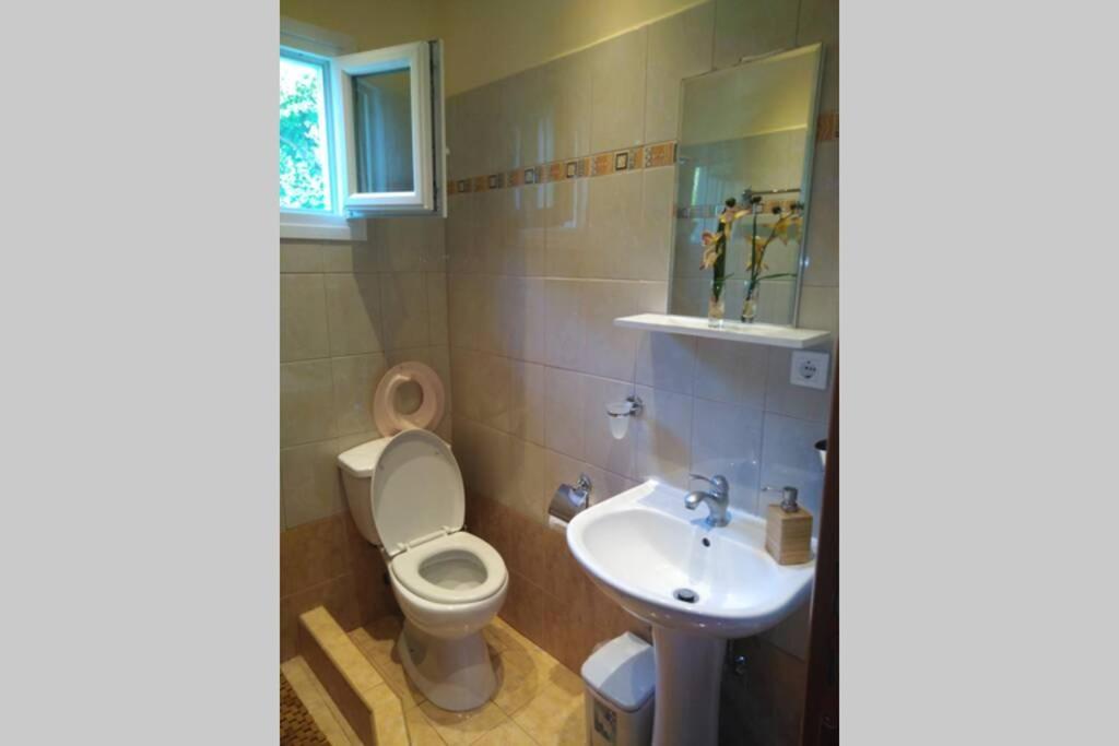 Viktoria Halkidiki Villa Nea Silata