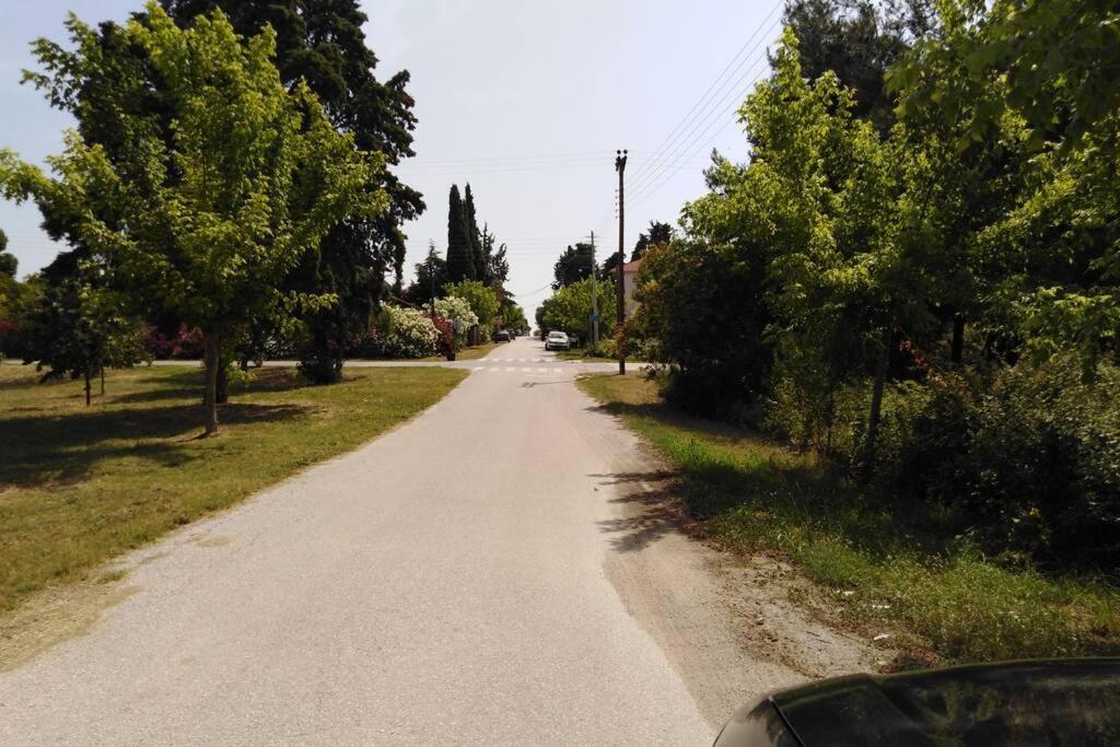 Viktoria Halkidiki Villa *
