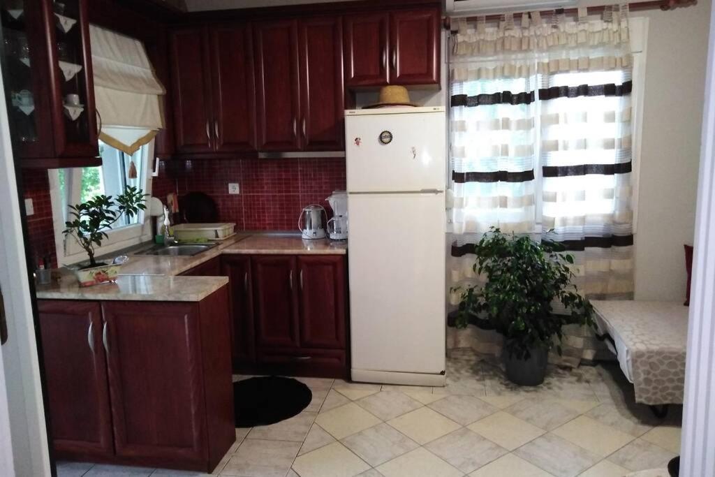 Viktoria Halkidiki Villa Nea Silata