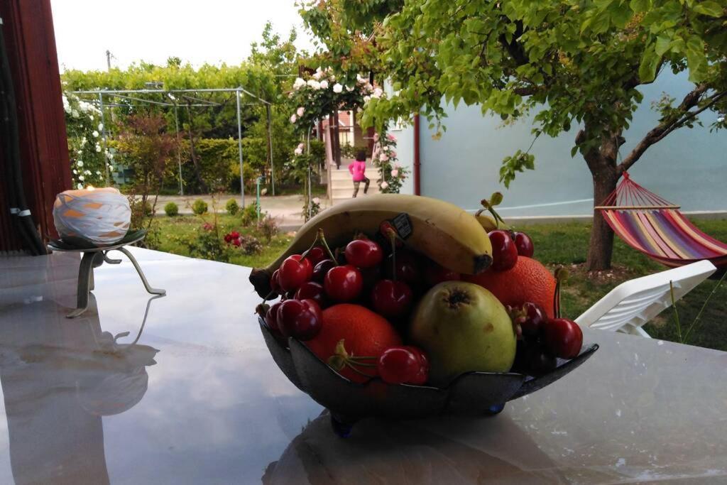 Villa Viktoria Halkidiki