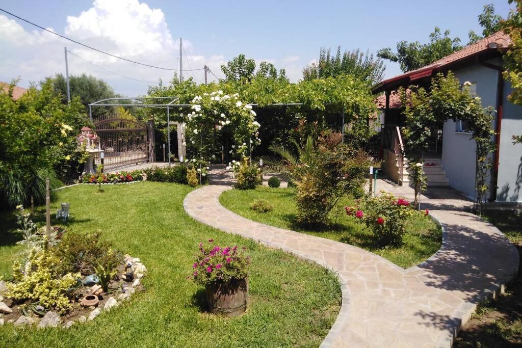 Villa Viktoria Halkidiki