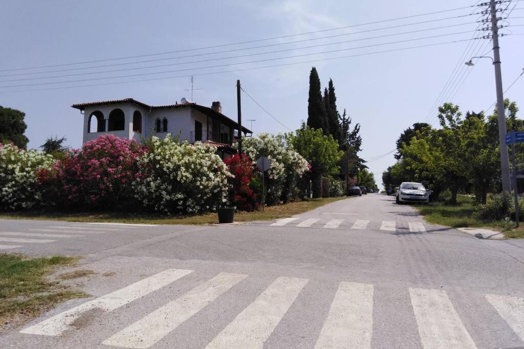 Villa Viktoria Halkidiki *