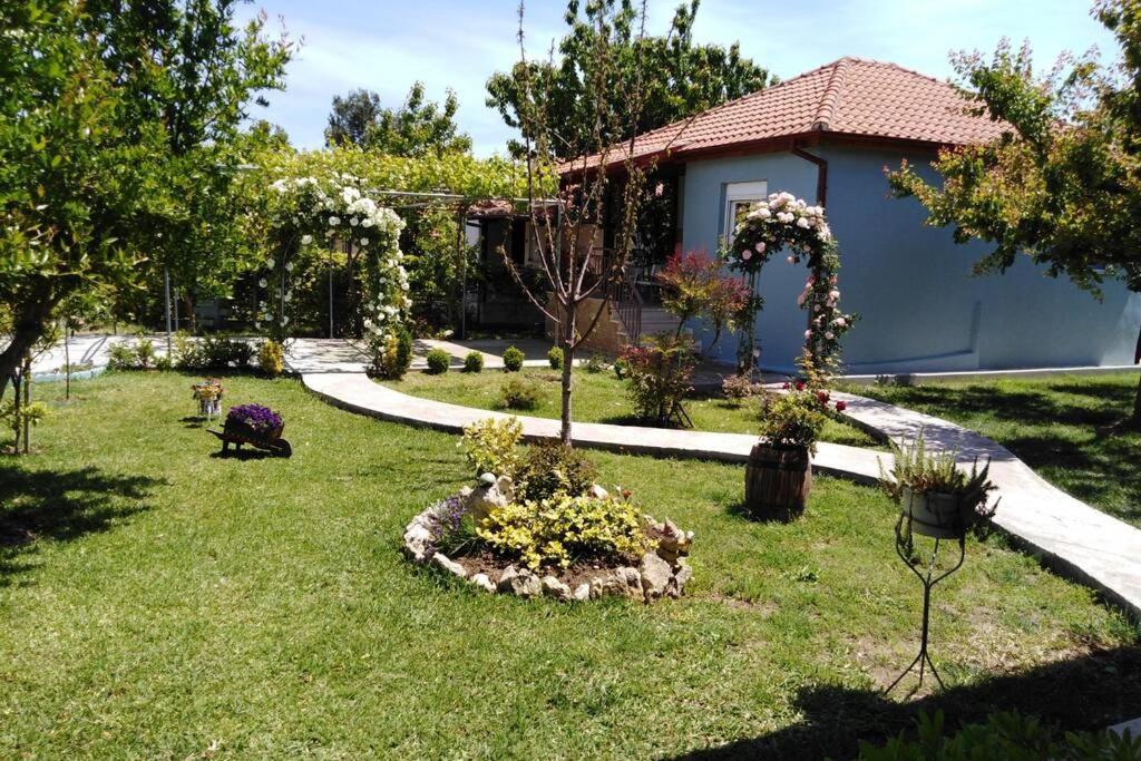 Viktoria Halkidiki Villa *