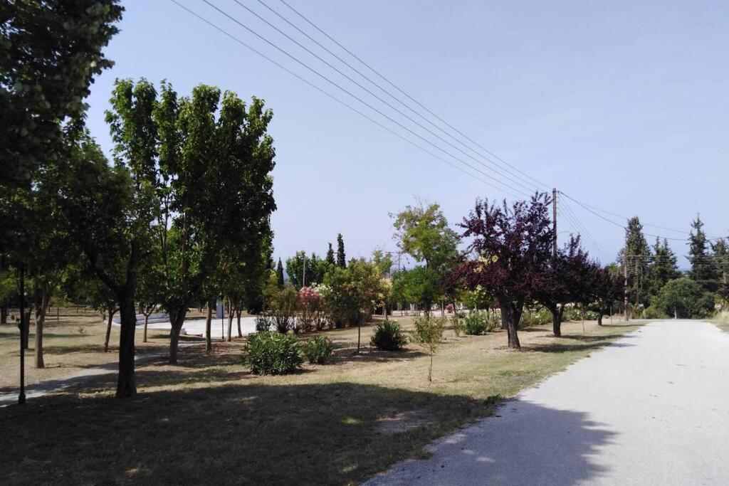 Viktoria Halkidiki Villa *